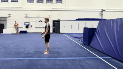 Motion Analysis of Backflips